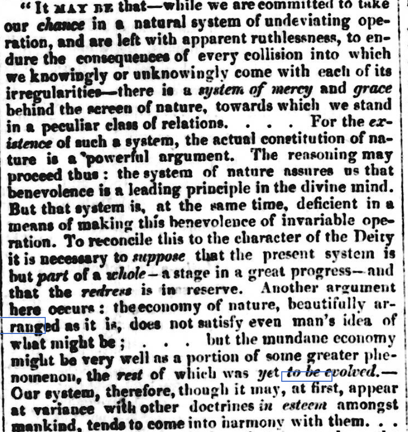 Original Newspaper Clipping